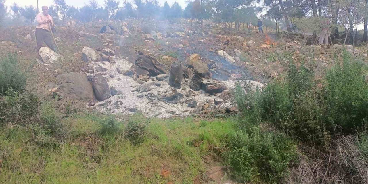 Ağaçları Kesip Yaktılar: 20 Gözaltı