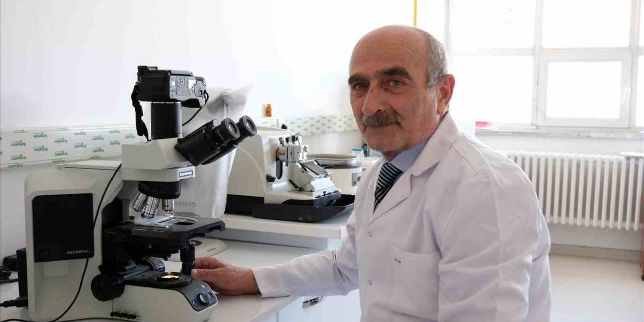 Diyabetle Oluşan Doku Hasarlarını Önleyecek Projeye Destek