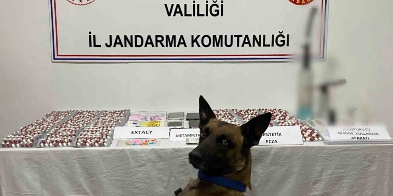 Zehir Tacirlerini Jandarma Yakaladı