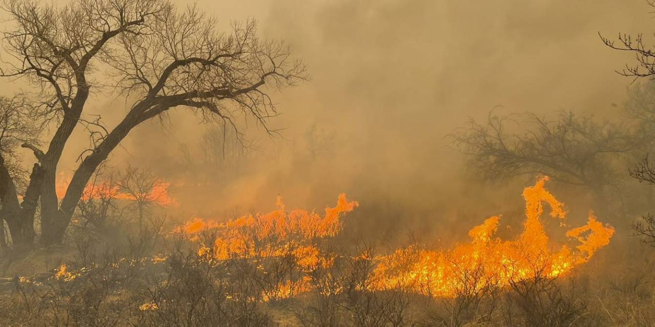 Texas’taki Orman Yangınlarında 1 Kişi Hayatını Kaybetti