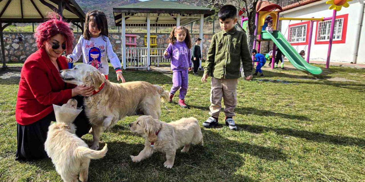 Engelli Anne Boncuk Ve Yavruları Okulun Maskotu Oldu