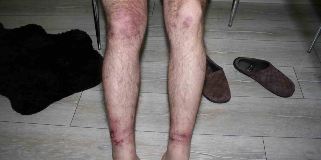 Yaş Betona Dokununca Olanlar Oldu