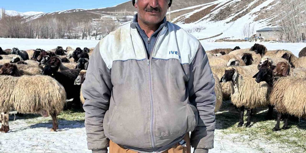 Yüksekova’da İthal Çoban Dönemi