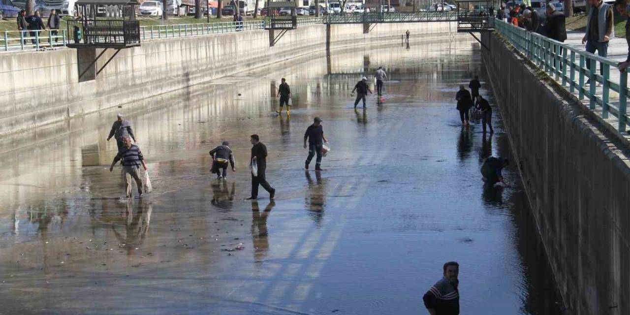 Beyşehir Gölü’nden Kanala Dökülen Balıkları Toplamak İçin Birbirleriyle Yarıştılar