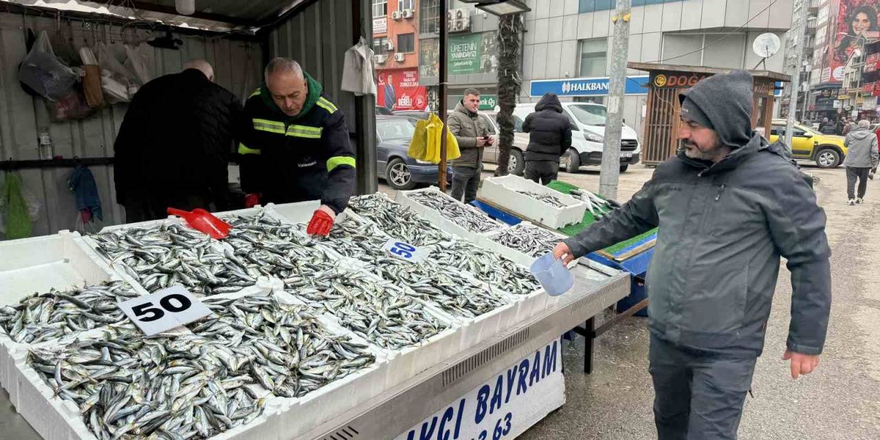 Fiyatı 50 Liraya Düşen İstavrite Yoğun İlgi