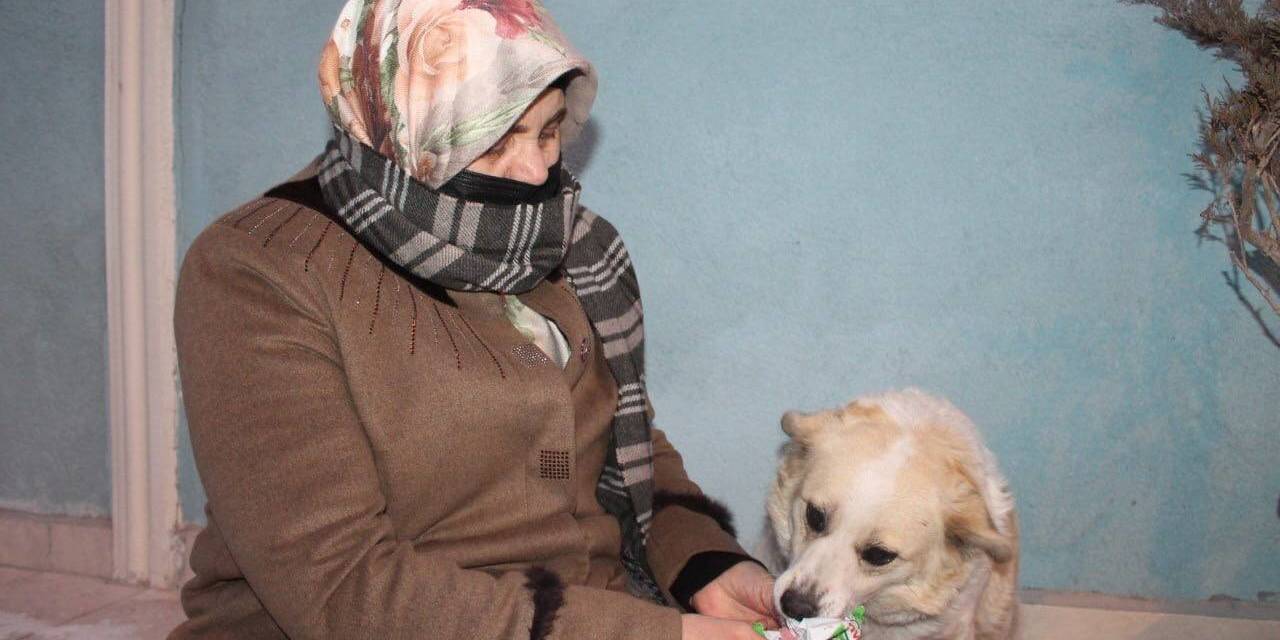 Mahallenin Maskotu ’çirkin’ Alkış Sesi Duyunca Oynamaya Başlıyor