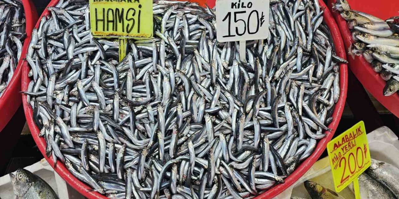 Bandırma’da Hamsinin Fiyatı Düştü