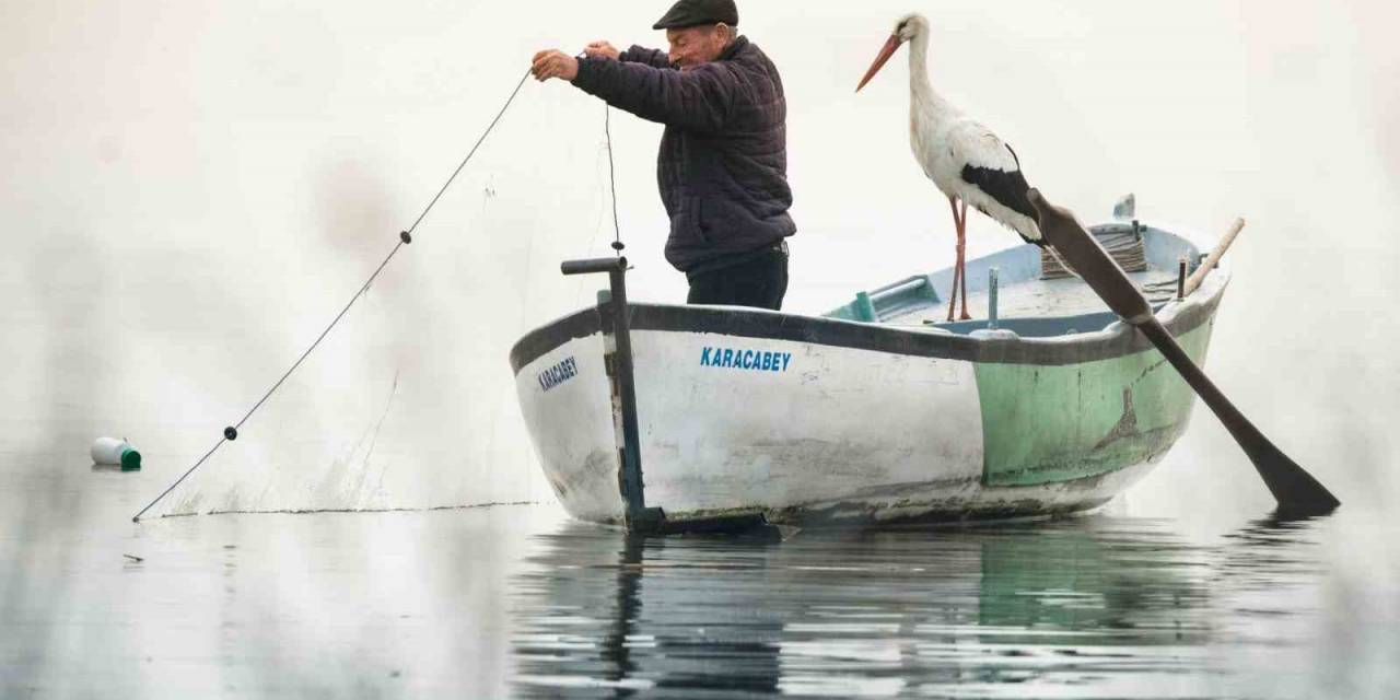 Yaren Leylek 13. Kez Balıkçı Adem Amca’ya Kavuştu