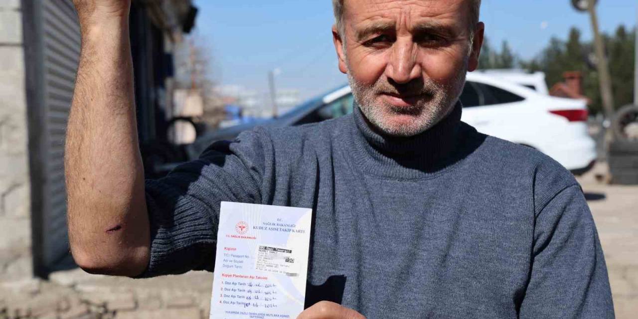 Diyarbakır’da Sokak Köpeği Bir Günde 8 Kişiyi Isırdı