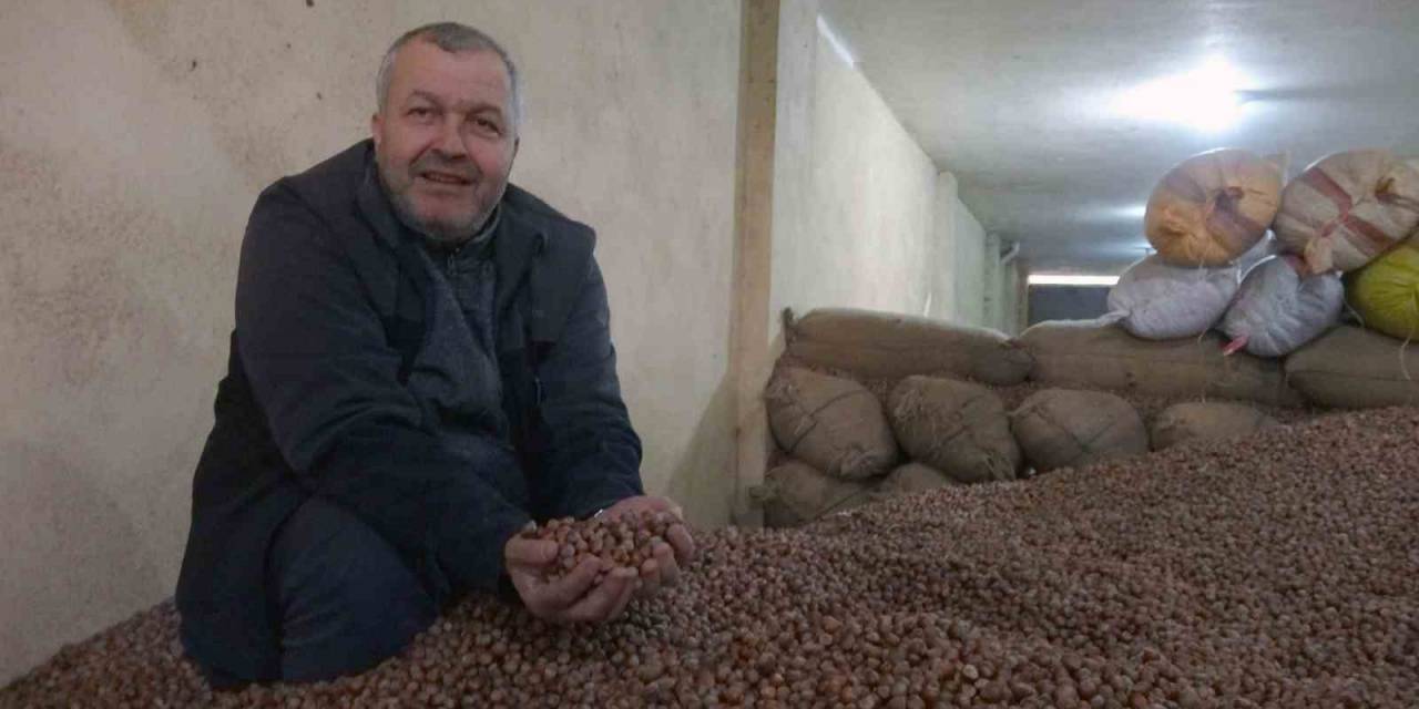 Döviz Kurundaki Ve Sıcaklık Değerlerindeki Yükseliş Fındık Fiyatlarını Da Tırmandırıyor