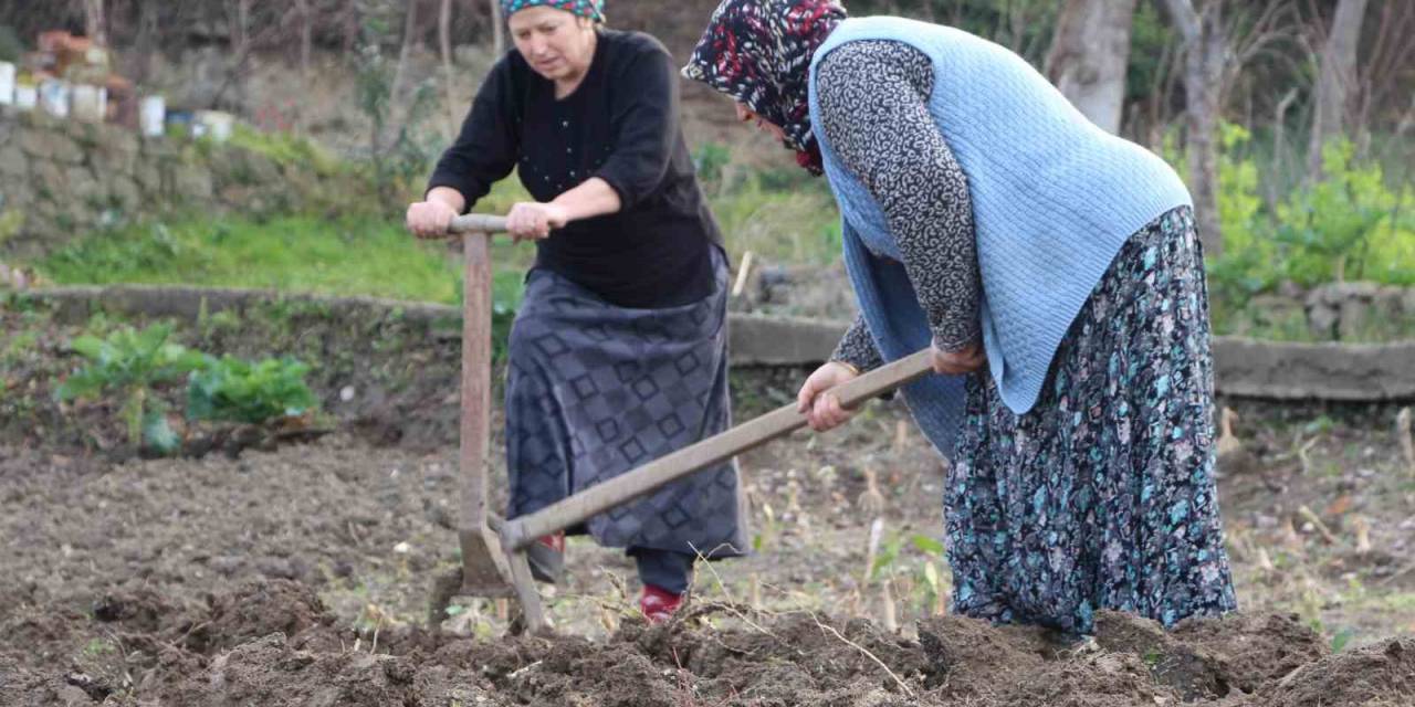 Gençler Tarlaya Girmiyor