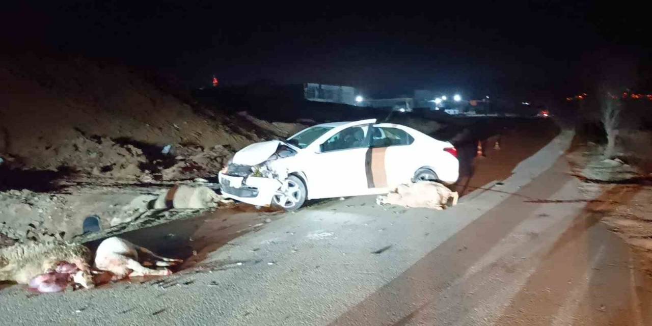 Bilecik’te Otomobil Koyun Sürüsüne Çarptı, 1 Kişi Yaralandı