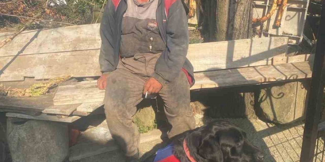 60 Yaşındaki Zihinsel Engelli Kayıp Adam, 3 Kilometre Uzakta İz Takip Köpeği İle Bulundu