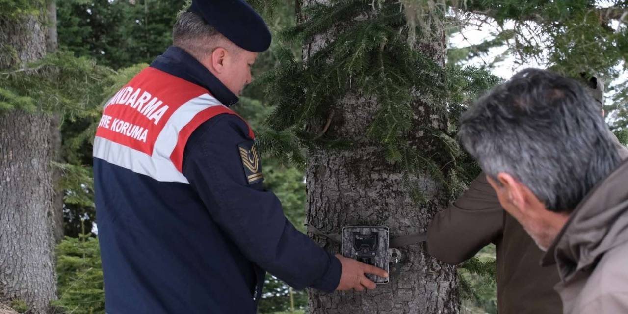 Jandarma Ekipleri Dünya Yaban Hayatı Günü’nde Doğaya Yem Bıraktı