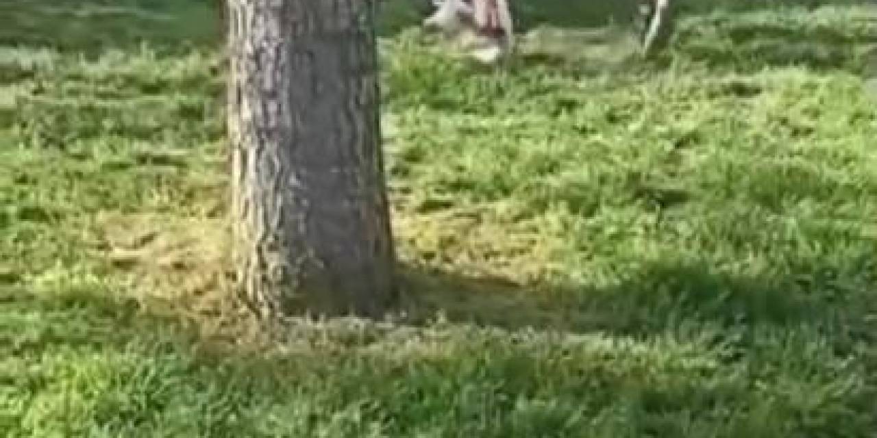 Akran Zorbalığı Kamerada: Yumruk Atıp Silah Çekti