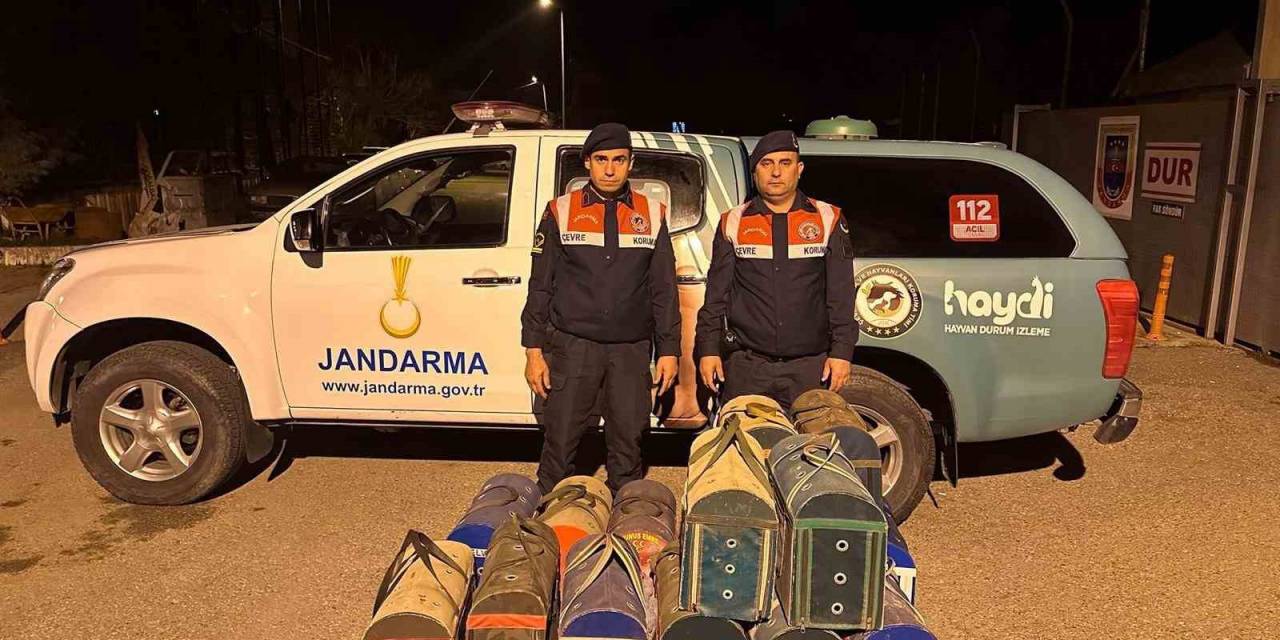 Manisa’da Horoz Dövüşüne Suçüstü