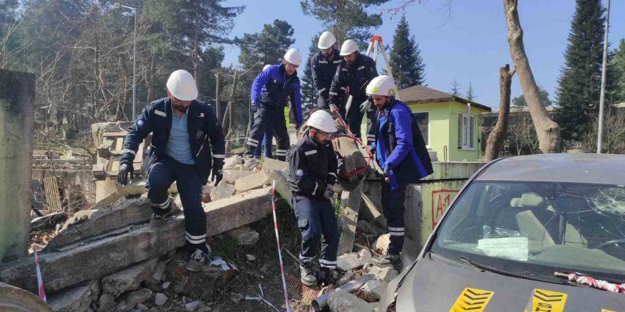 Sedaş Gönüllü Arama Kurtarma Ekibini Kurdu