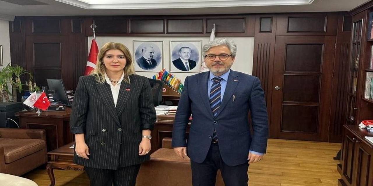 Ölmeztoprak Müjdeyi Verdi: "Bölgesel Kalkınma Hamlesi Programı Hayata Geçirilecek"