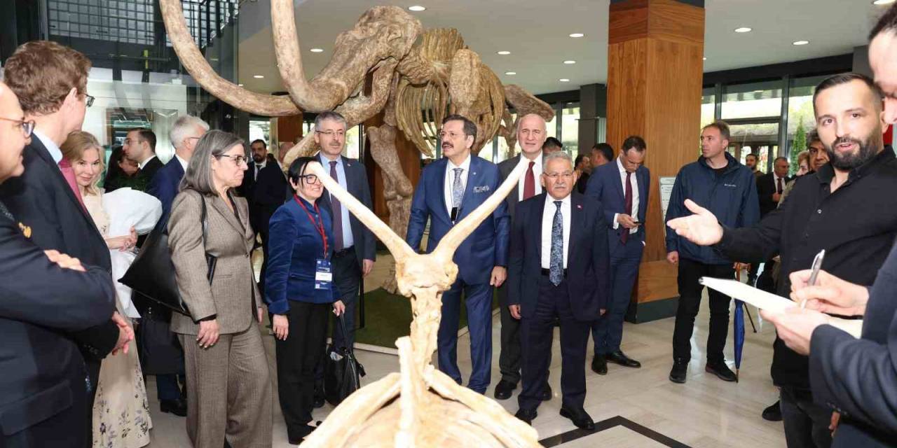 Avrupalı Büyükelçiler, Dünyada İlk Ve Tek Olan 7.5 Milyon Yıllık Fosillere Hayran Kaldı