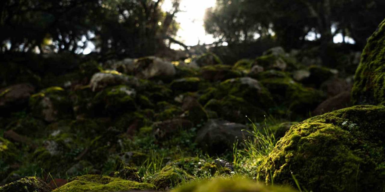 Aigai’deki Kazı Çalışmaları Geleceğe Miras Kalacak