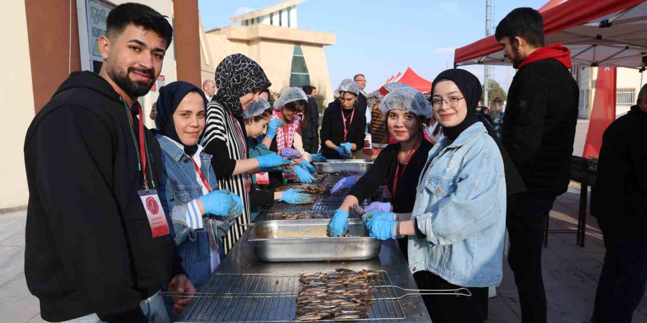 1 Ton Hamsi, 1 Saatte Tükendi