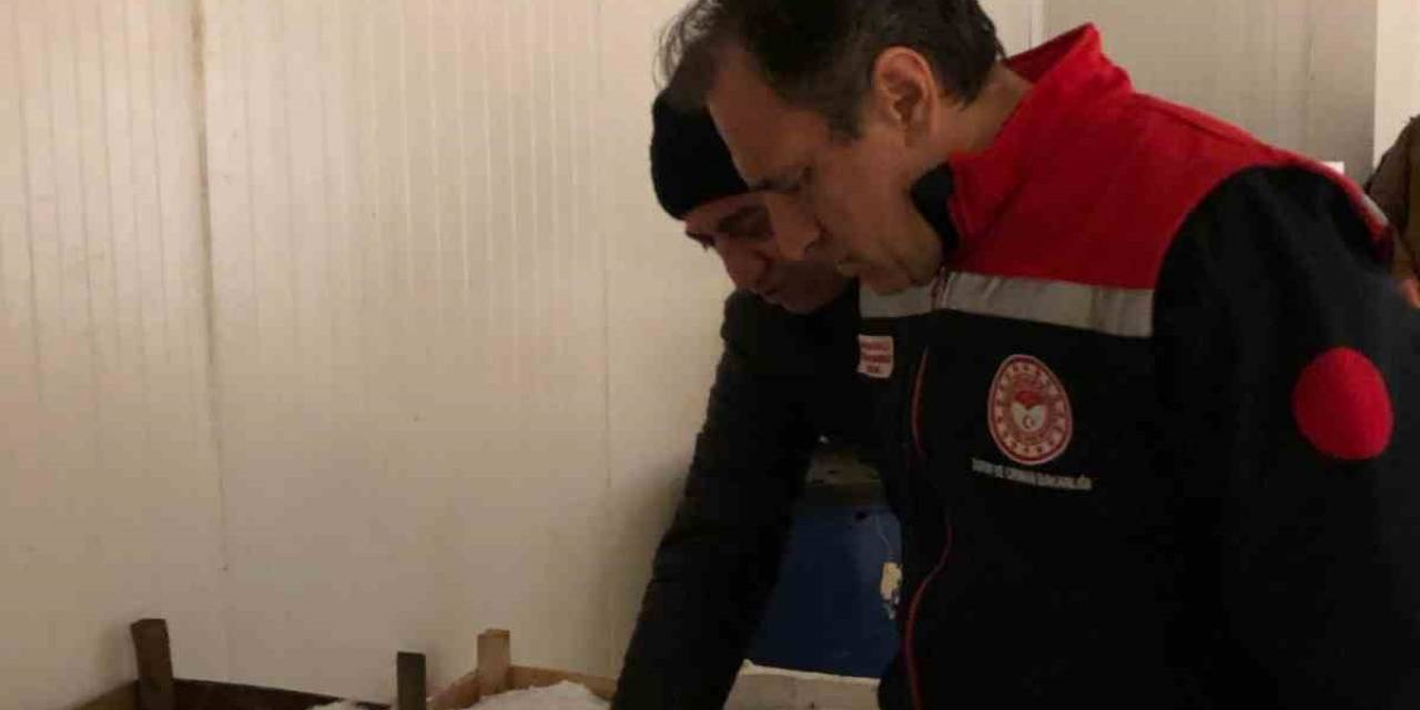 İstanbul’da Yasa Dışı Ticari Avcılık Denetimi: 4 Ton Balığa El Konuldu