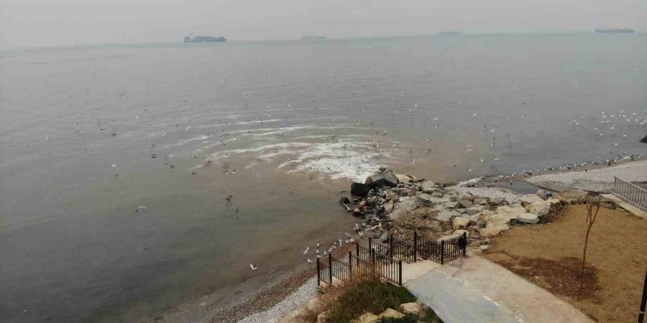 Beylikdüzü’nde Kanalizasyon Sularının Denize Aktığı Yerde, Deniz Kahverengi Döndü