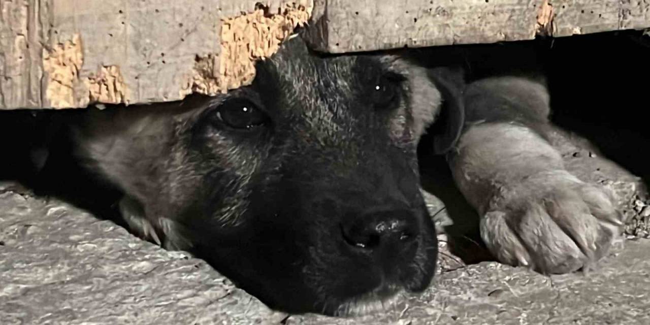 Tekstil Atölyesinde Çıkan Yangını Söndürme Çalışmaları Sürüyor