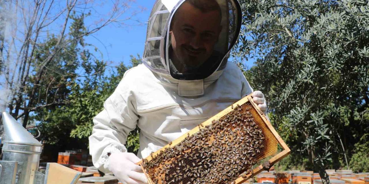 Erken Gelen Baharla Birlikte Başlayan Bal Mesaisi Depremzede Arıcıya Umut Verdi