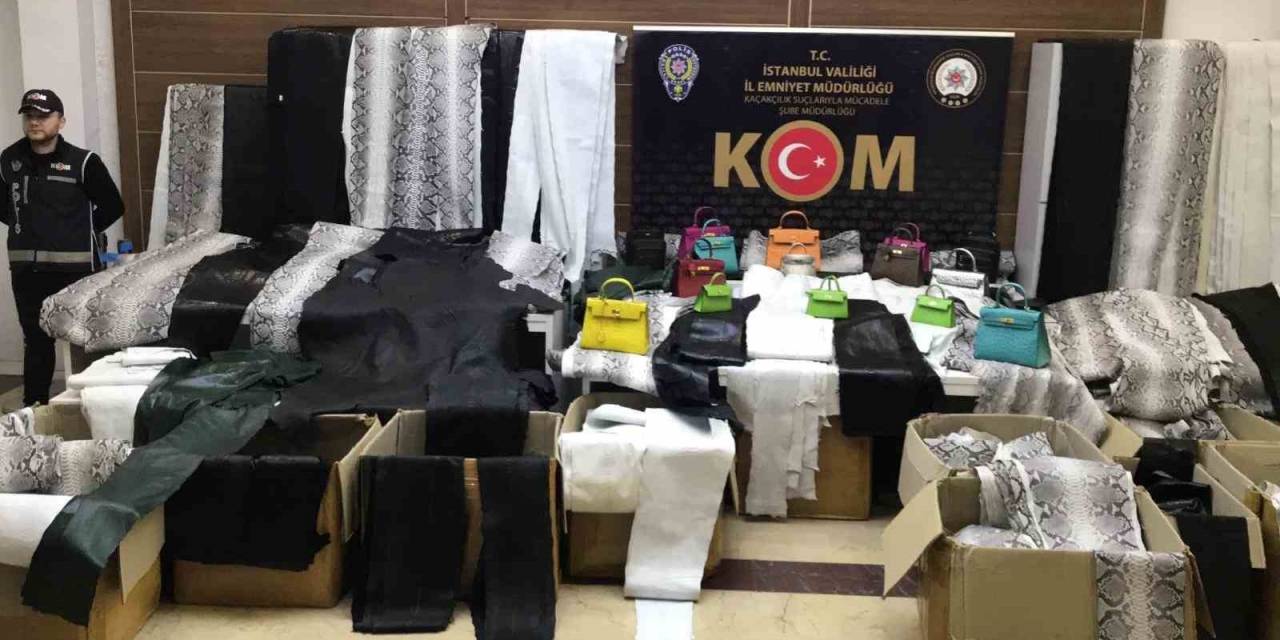 Zeytinburnu’nda Deri İmalathanesine Baskın: Binlerce Kaçak Yılan Ve Deve Kuşu Derileri Ele Geçirildi