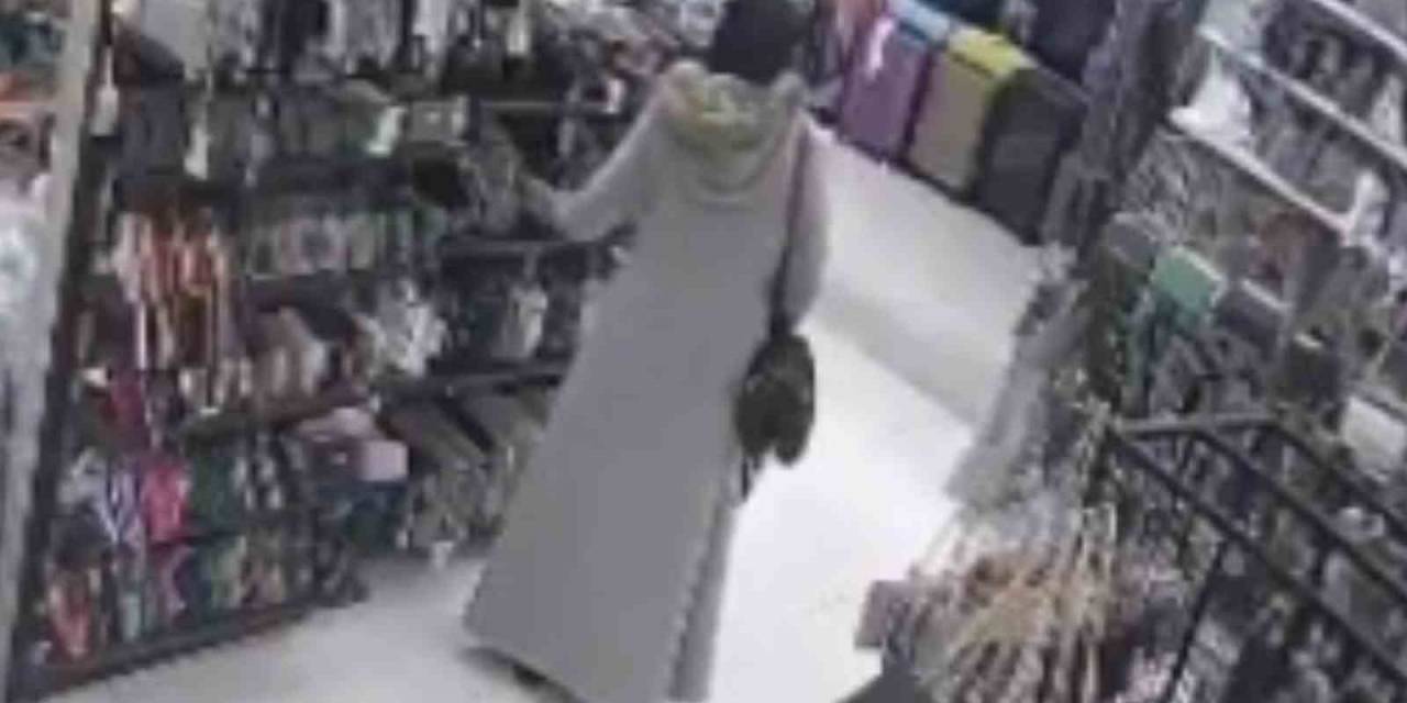 Gözüne Kestirdiği Çantaları Çalıp Kaçtı