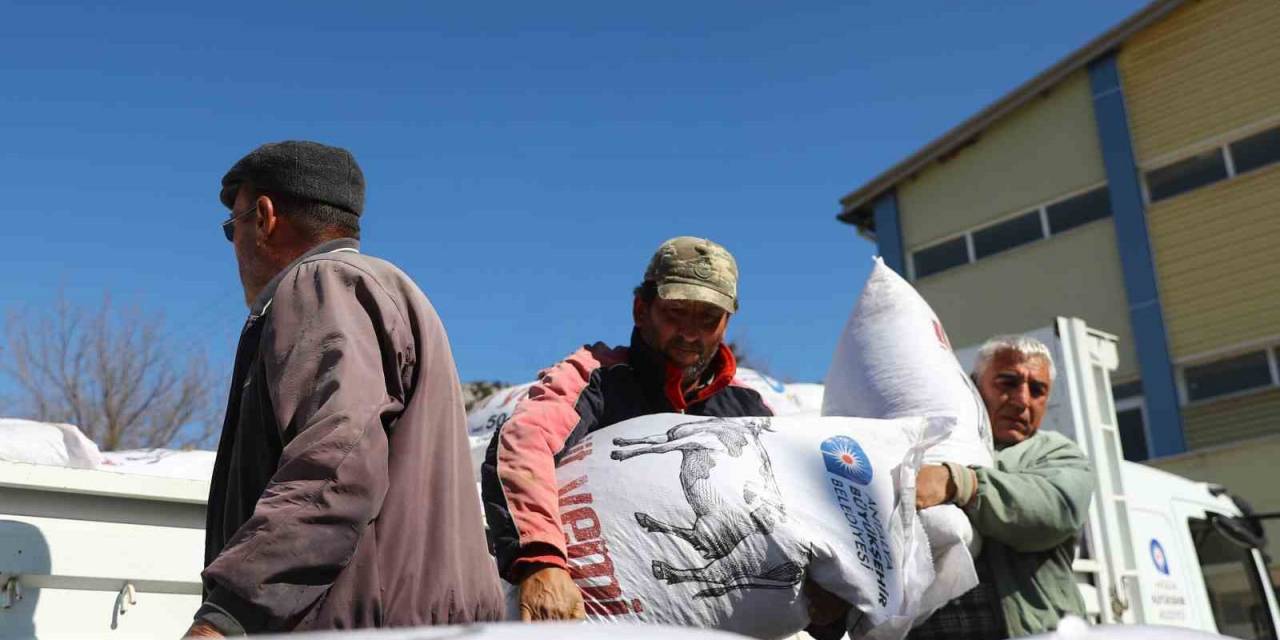 Korkutelili Çiftçilere 36 Ton Yem Desteği