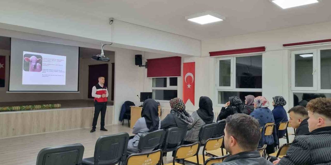 Hisarcık’ta Büyükbaş Ve Küçükbaş Hayvan Besi Kursu