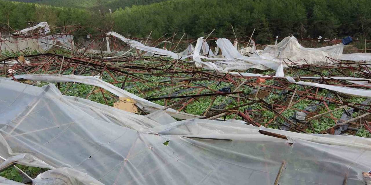 Alanya’da Hortum 250 Dönümden Fazla Seraya Zarar Verdi