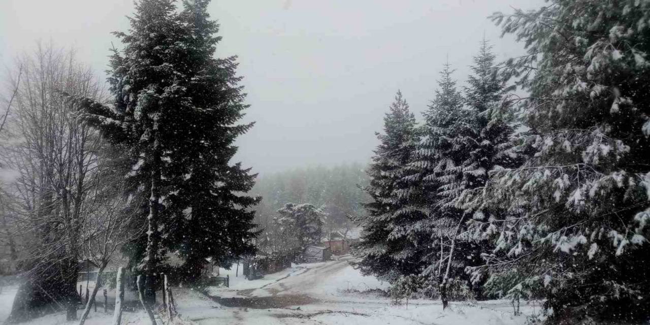 Sakarya Ve Kocaeli’nin Yüksek Kesimleri Yeniden Beyaza Büründü