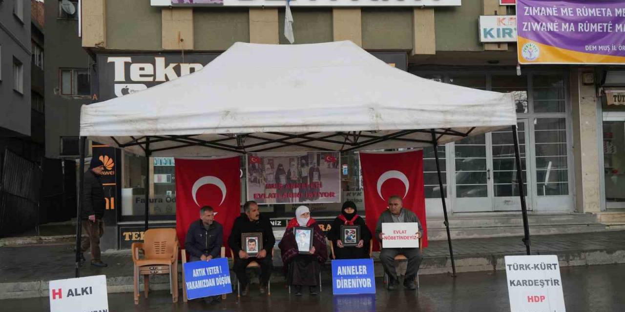 Terör Mağduru Ailelerin Evlat Çığlığı Muş’ta Yükseldi