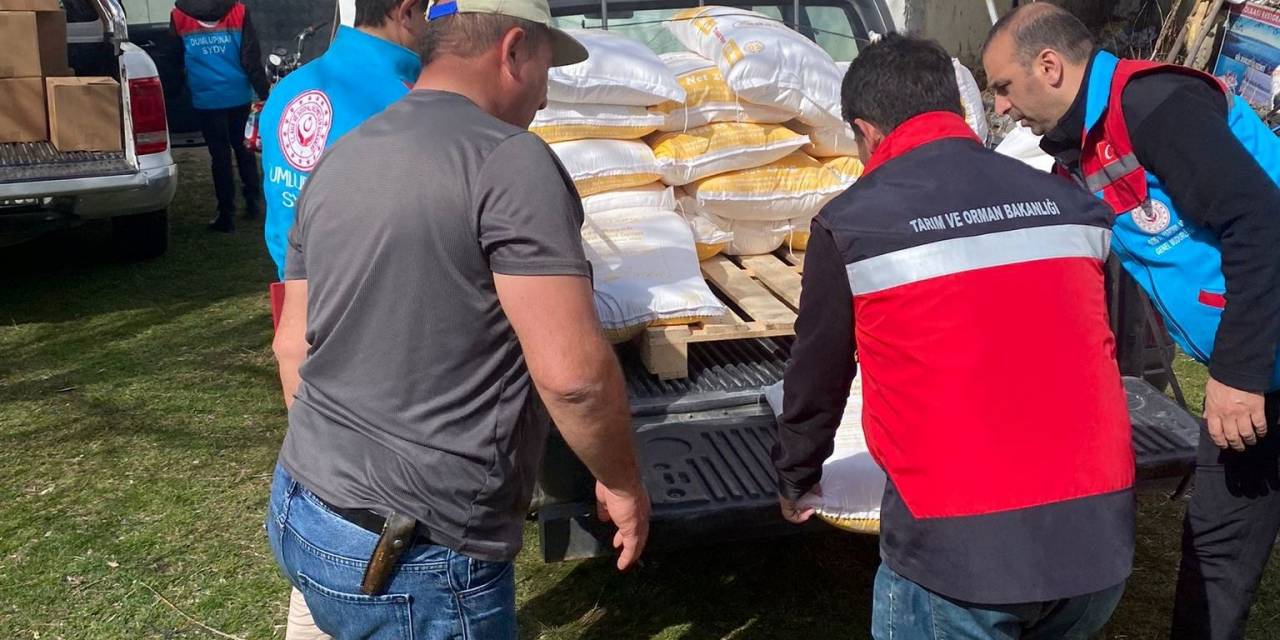 Dumlupınar’da Hasat Edilen Buğdaydan Elde Edilen Un İhtiyaç Sahiplerine Dağıtıldı