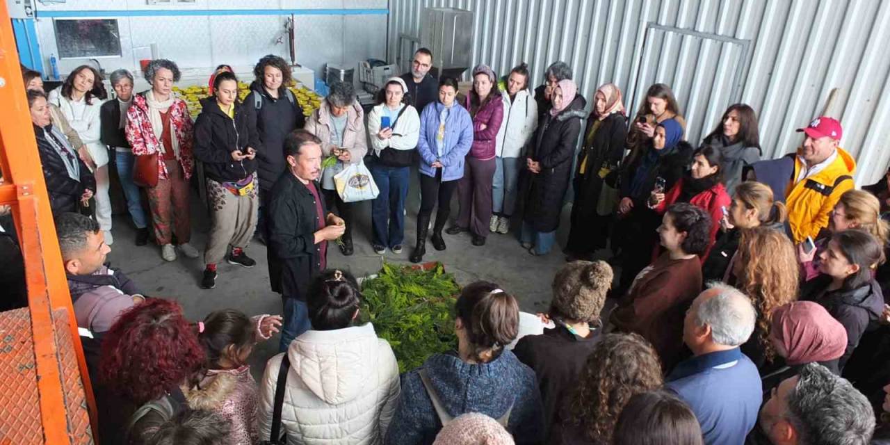 Balıkesir’de Tıbbi Aromatik Bitki Yetiştiriciliği Kurslarına Yoğun İlgi