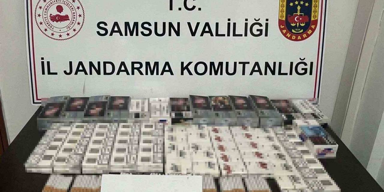 Samsun’da Jandarma 43 Bin Dal Makaron Ele Geçirdi