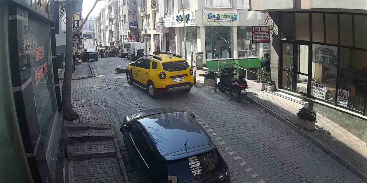 Yol Üzerinde Yatan Köpeğin Üstünden Geçti