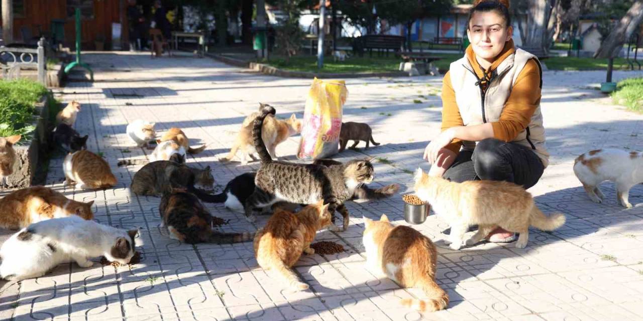 Enkaz Kentin Gürcistanlı Gelini Sabina, Sokak Hayvanlarına Umut Oldu
