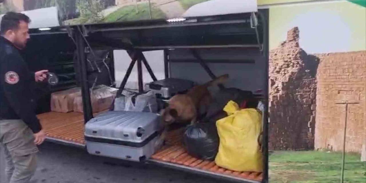 Valizden 21 Kilo Esrar Çıktı