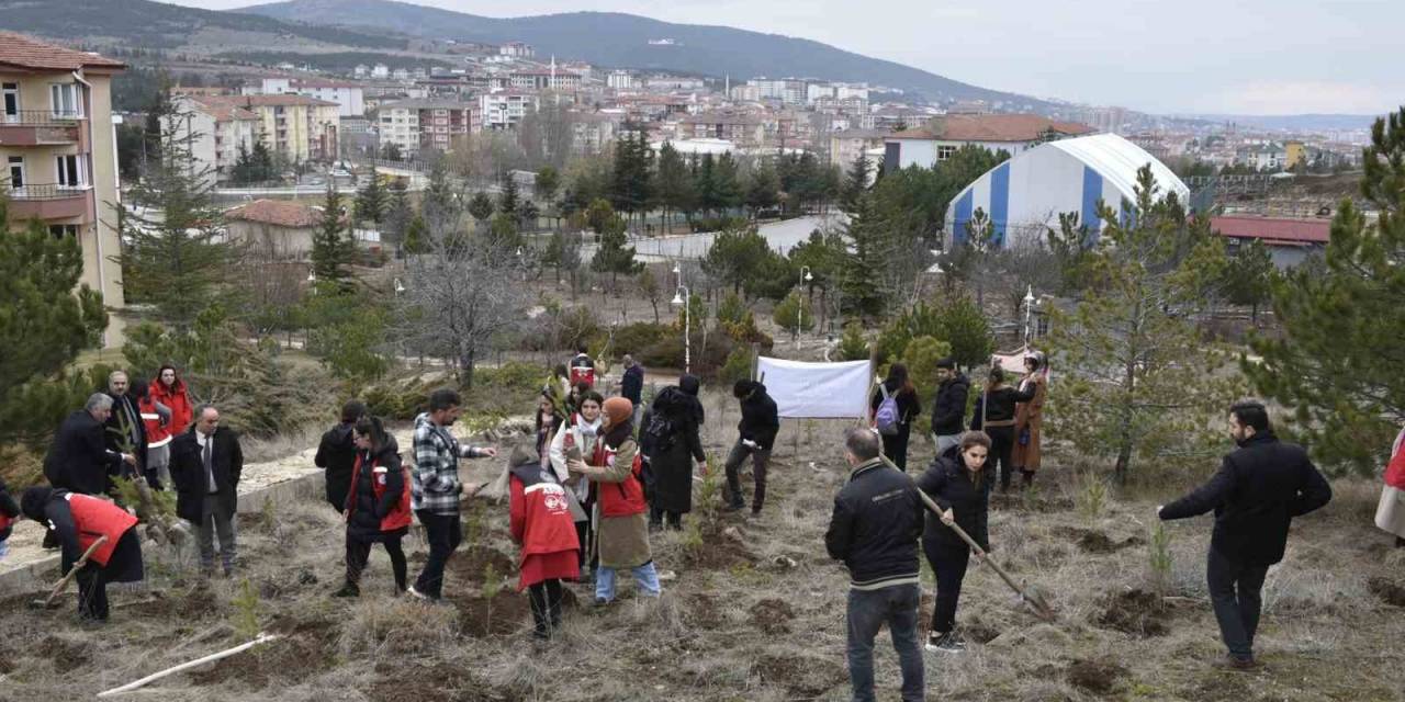 Yozgat’ta 300 Fidan, Depremde Hayatını Kaybeden Kadınlar Anısına Toprakla Buluştu