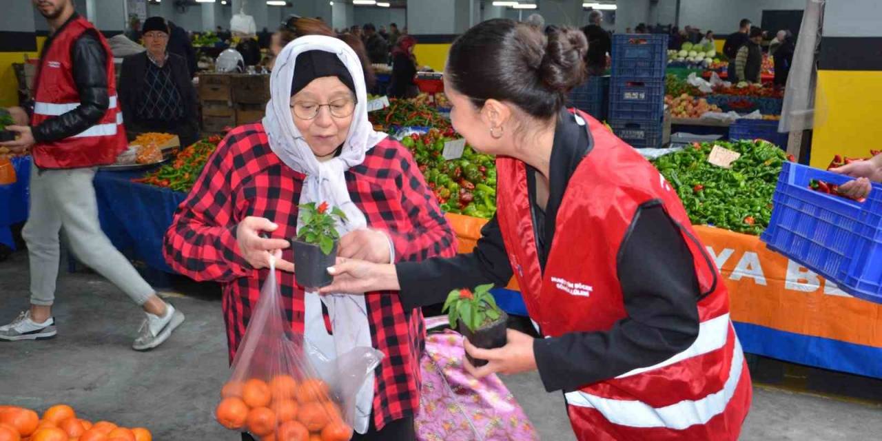 Başkan Böcek’ten, Alanyalı Kadınlara Aşk Çiçeği Hediyesi