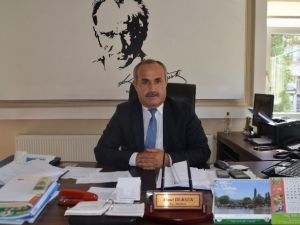 Bafra Ovası’nda Çeltik Hasadı Başladı