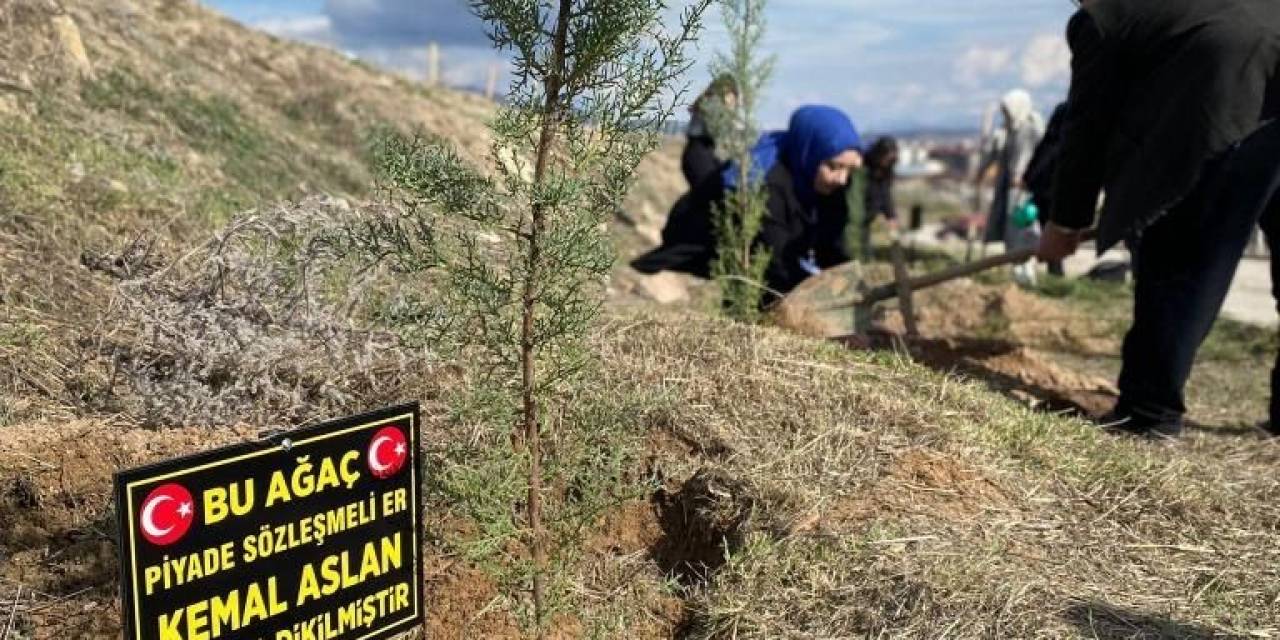 Üniversite Öğrencileri Şehitler Anısına Fidan Dikti