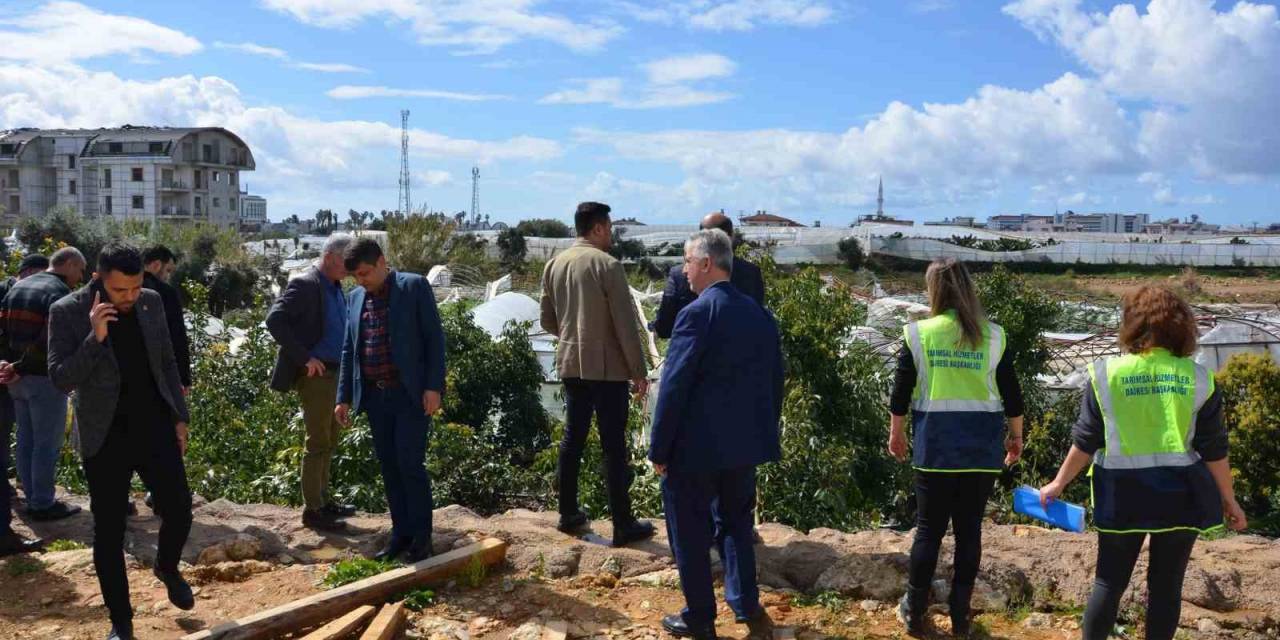 Büyükşehir Belediyesi, Hortumdan Etkilenen Alanyalı Üreticilerin Yaralarını Sarıyor