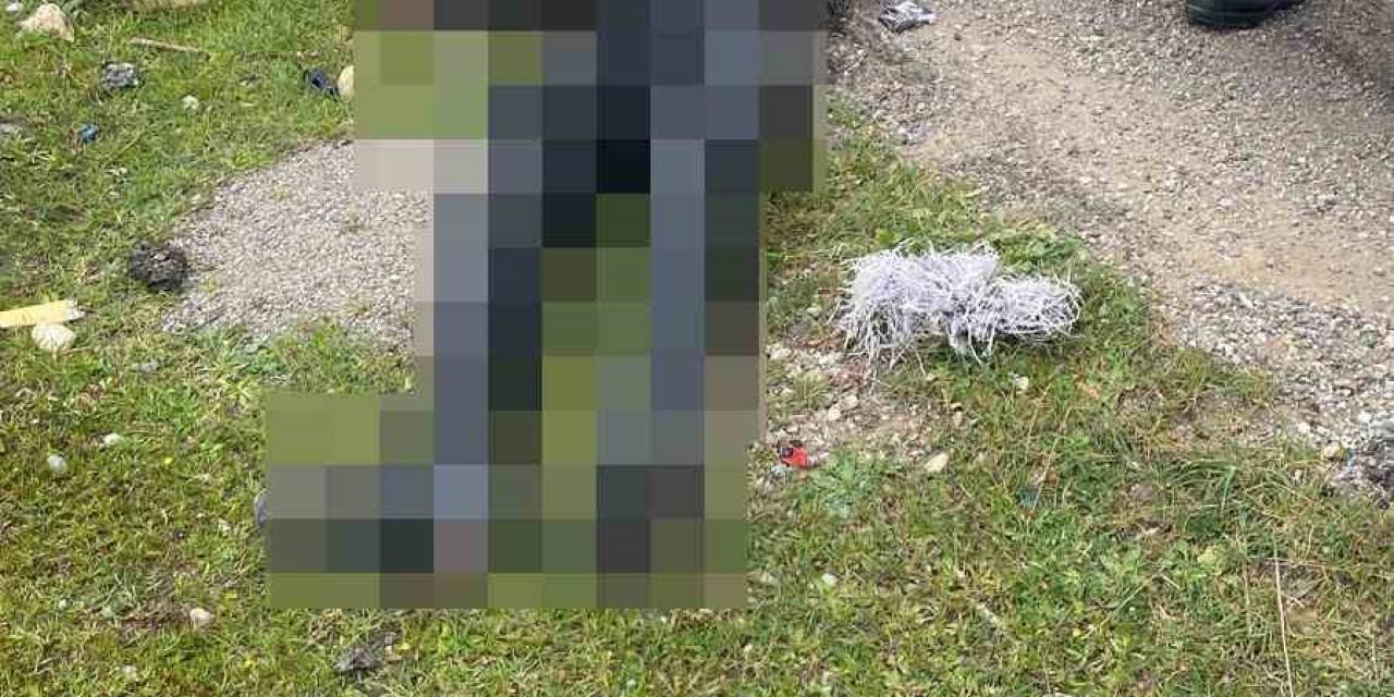 Siirt’te Motosikletiyle Kaza Yapan Üsteğmen Hayatını Kaybetti