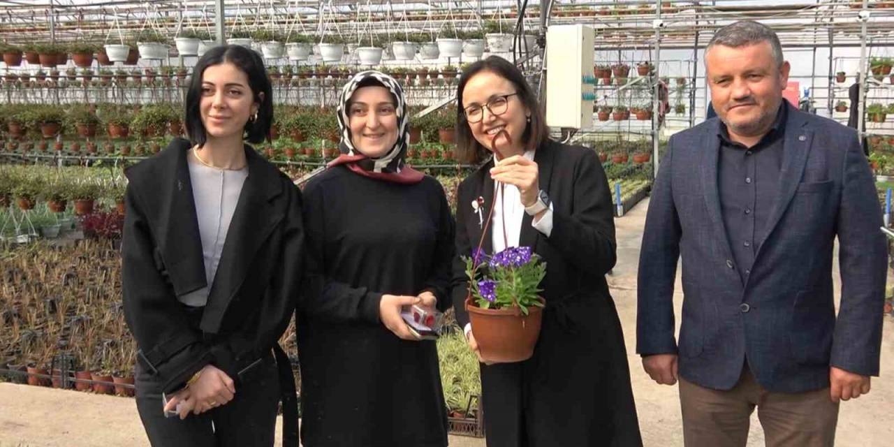 Vali Kaya’da İldeki Başarılı Kadınlarla Buluştu