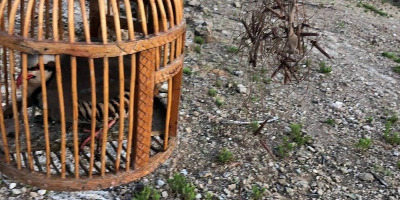 Muş’ta 1 Kişiye 16 Bin 121 Tl Para Cezası Kesildi